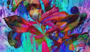 Art Meets Fintech: Curating the Future of Wealth Management